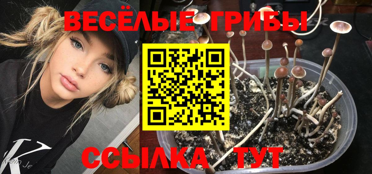 Луховицы  Псилоцибиновые грибы мицелий  цены   Вход с VPN  Псилоцибиновые грибы Magic Shrooms 