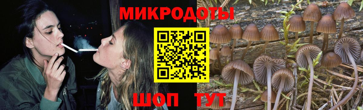 Галлюциногенные грибы Psilocybe Луховицы